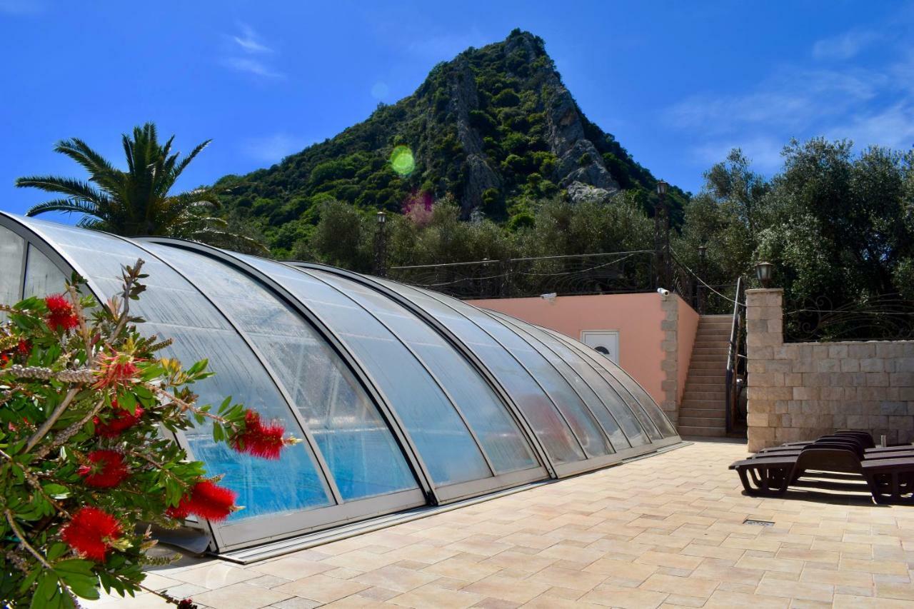Villa Dolphin Apartments Petrovac Exterior foto